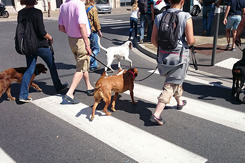 prestation cours en ville